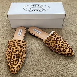Steve Madden Trace-L Leopard Mule